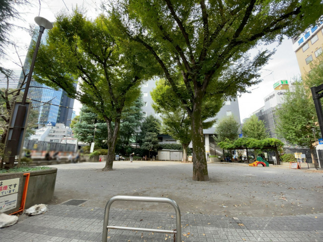 近くの新宿区立柏木公園