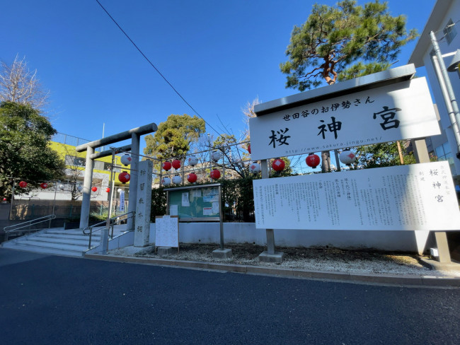 斜め向かいの桜神宮