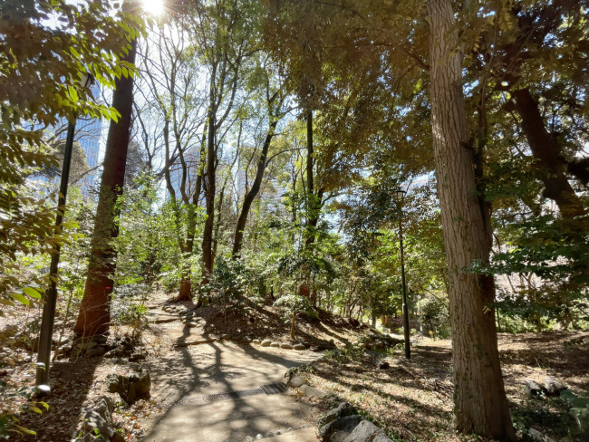 ビル裏の清水谷公園