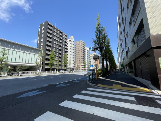 付近の白山通り