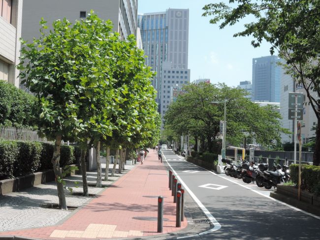 夏は緑が非常に豊かです