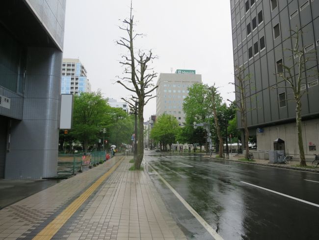 札幌市街地に位置し、地下鉄大通駅まで徒歩10分以内の立地