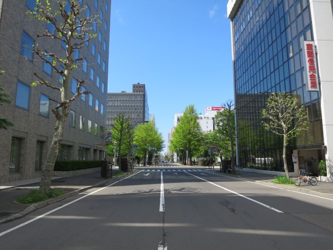 オフィスビルの一区画隣は大通公園