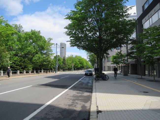 緑豊かなオフィス付近の道路