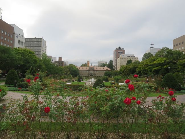 ビル付近の大通公園