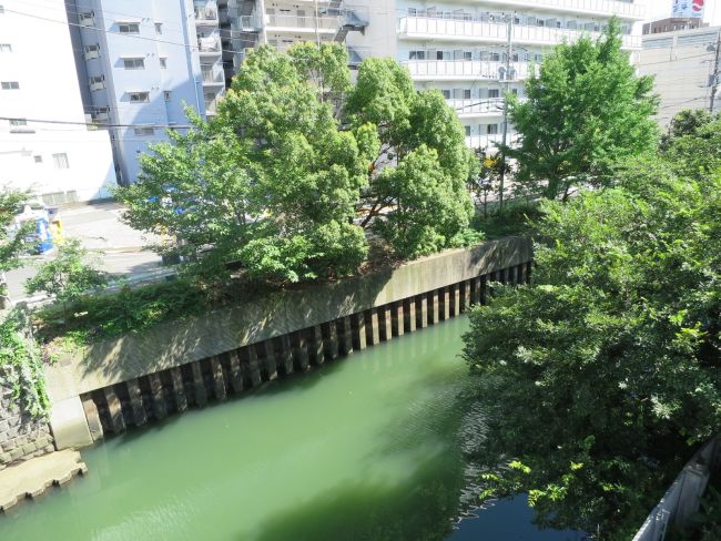 向かいの石崎川