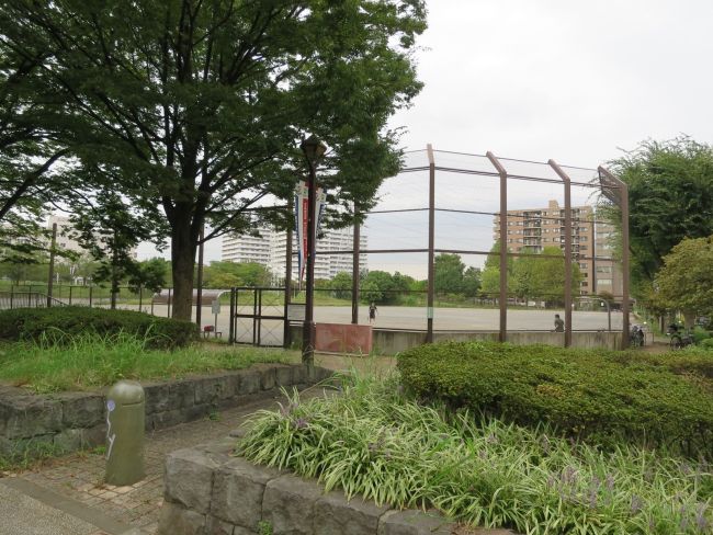 向かいにある新横浜少年野球場