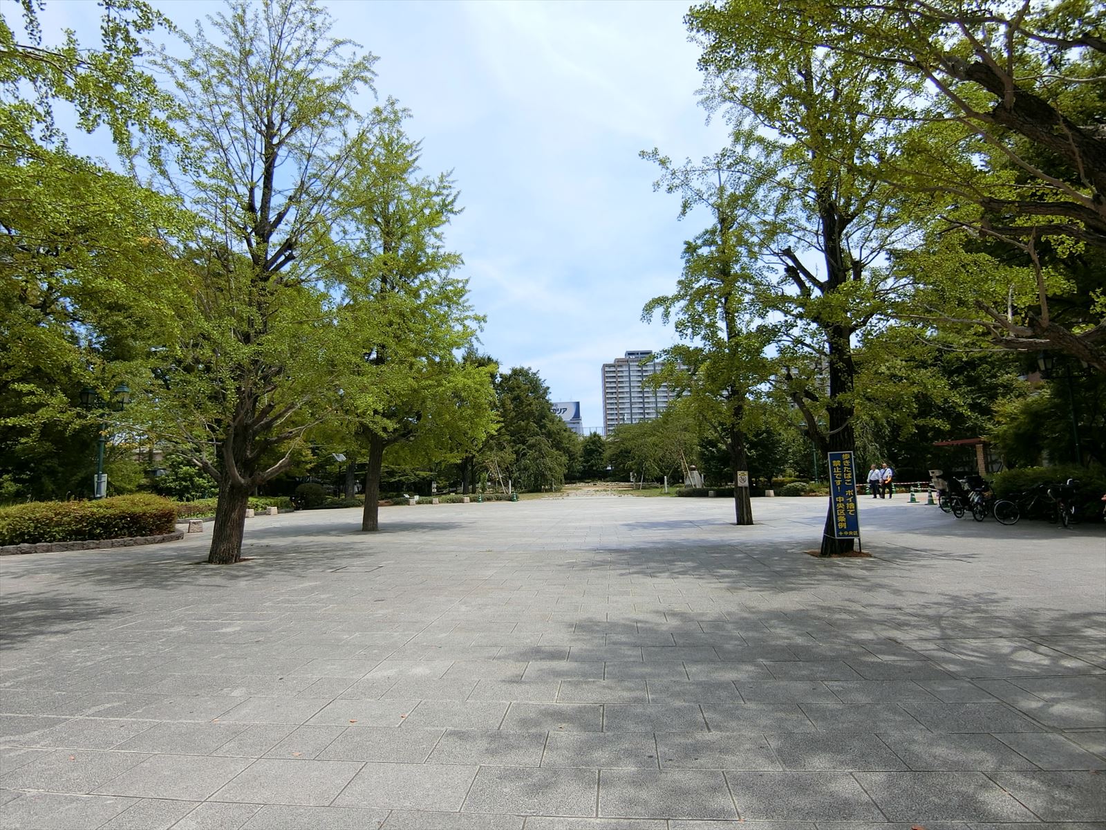 徒歩4分の浜町公園