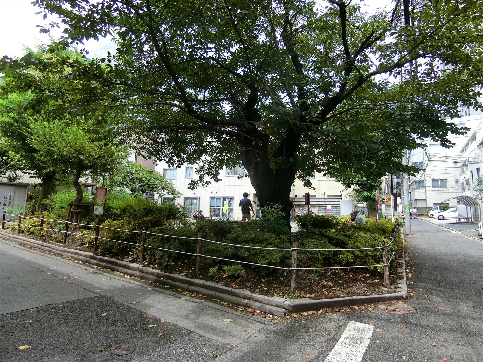 付近の公園