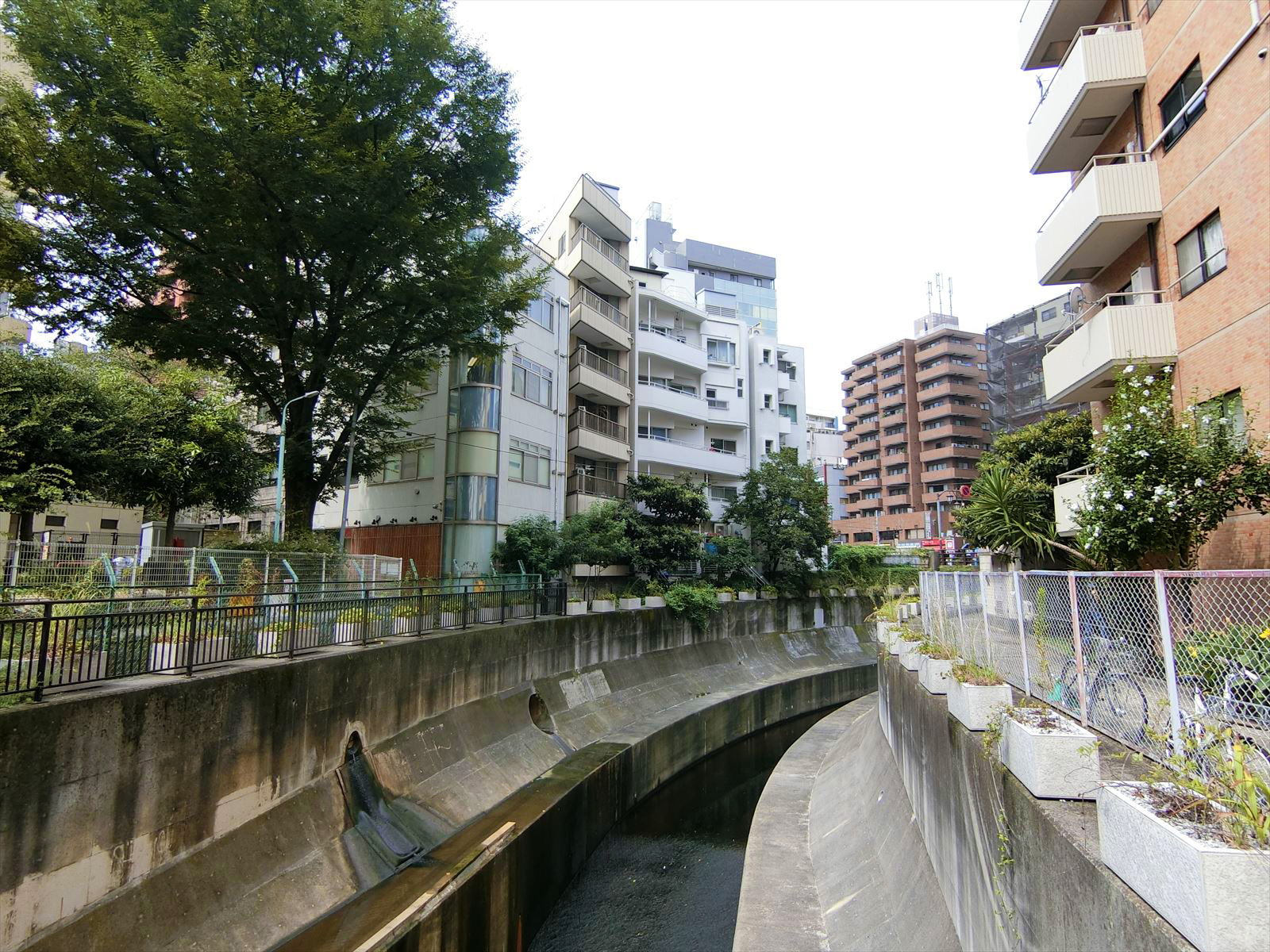 渋谷川が至近