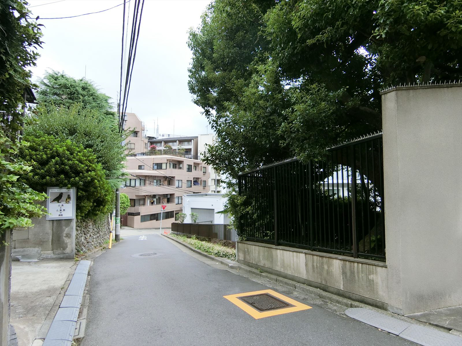 前面の通り