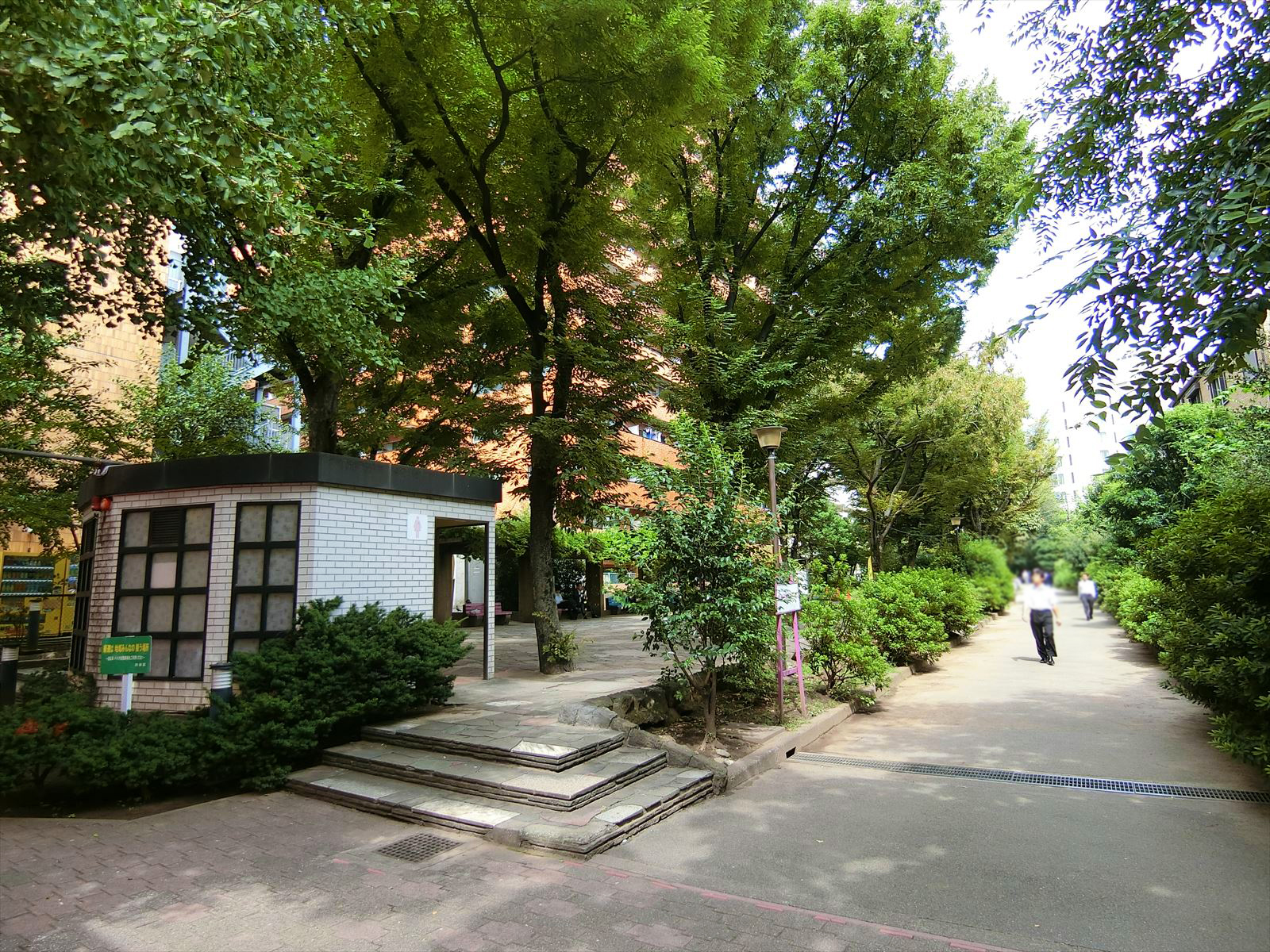徒歩3分の玉川上水旧水路緑道