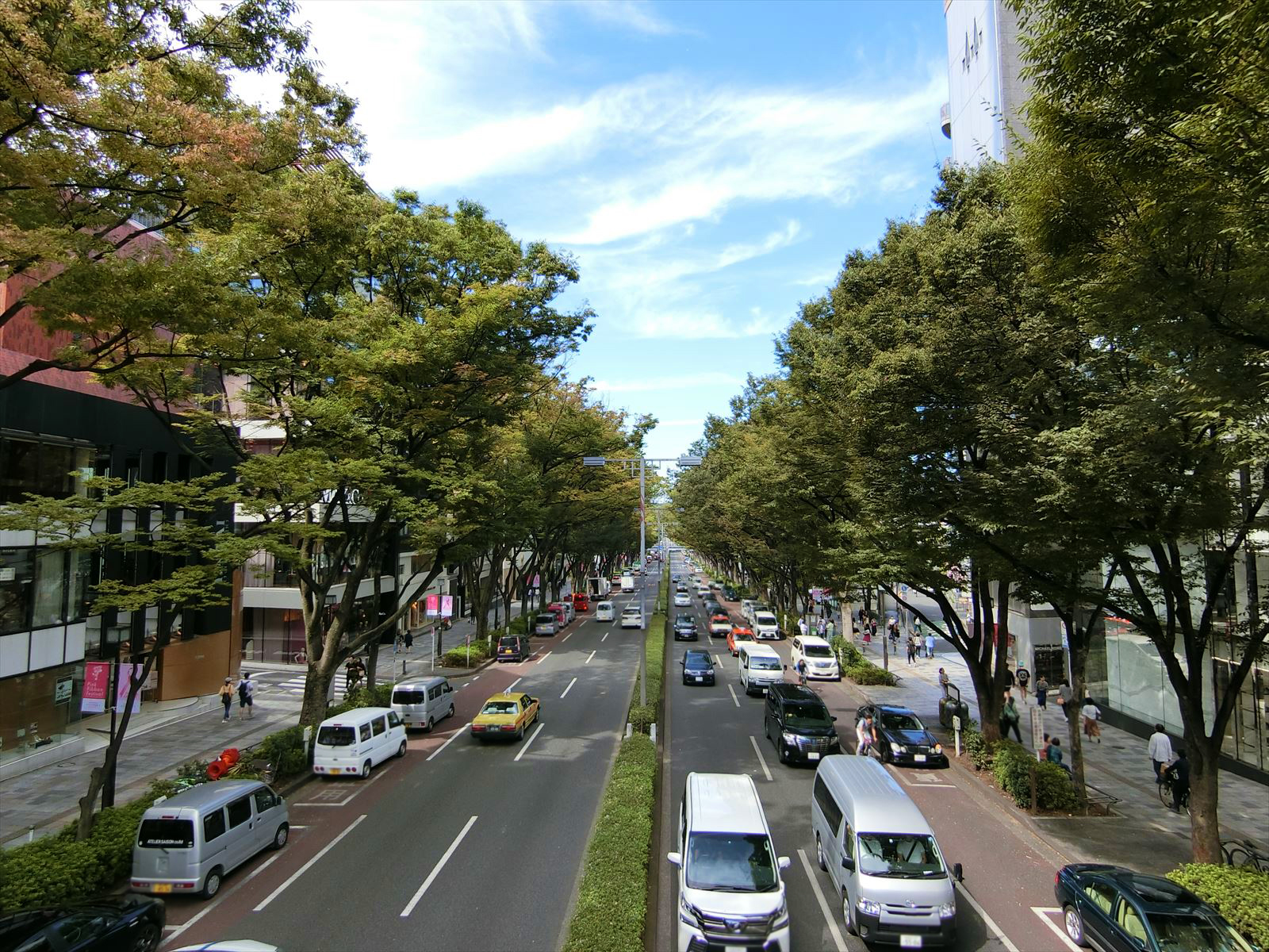至近の表参道通り