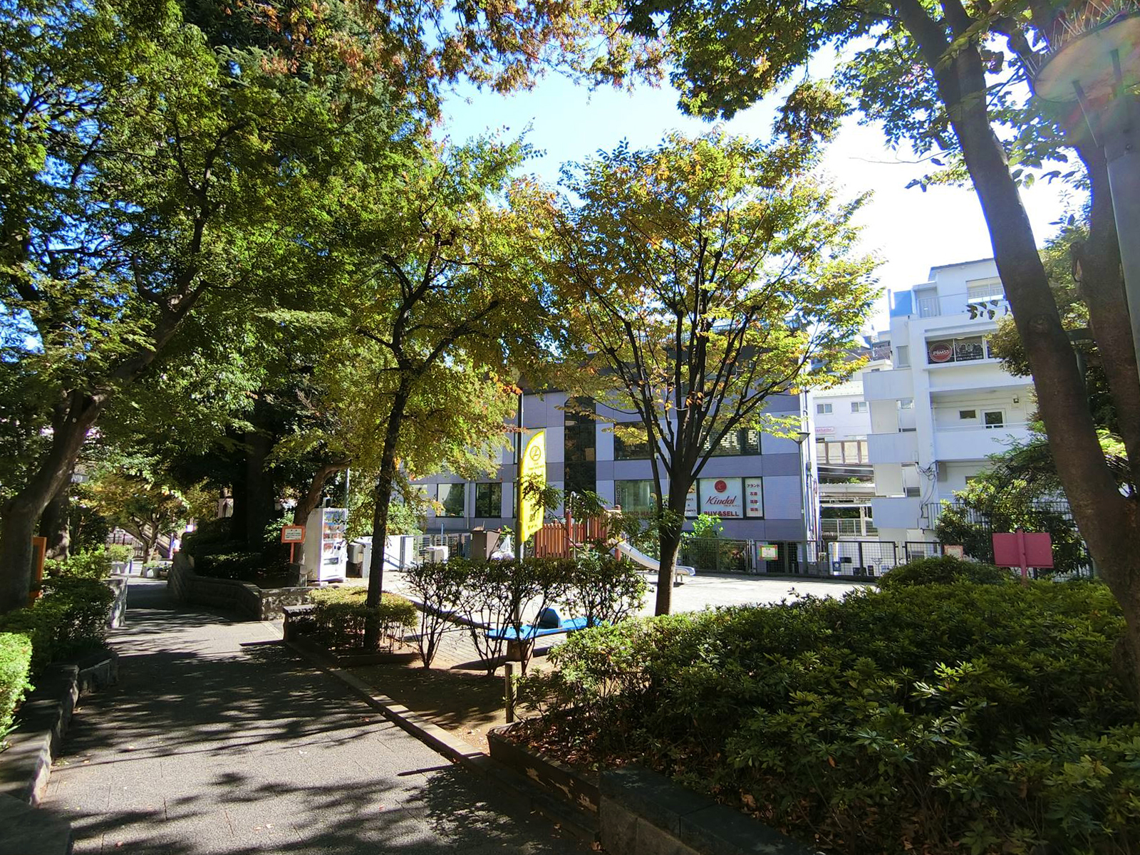 近くの代官山公園