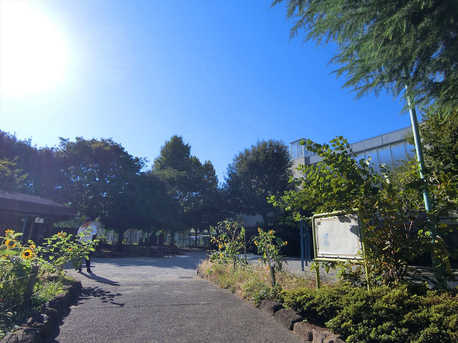 ビル前の区立猿楽古代住居跡公園