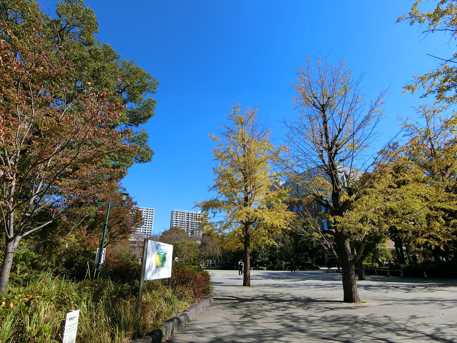 徒歩2分の浜町公園