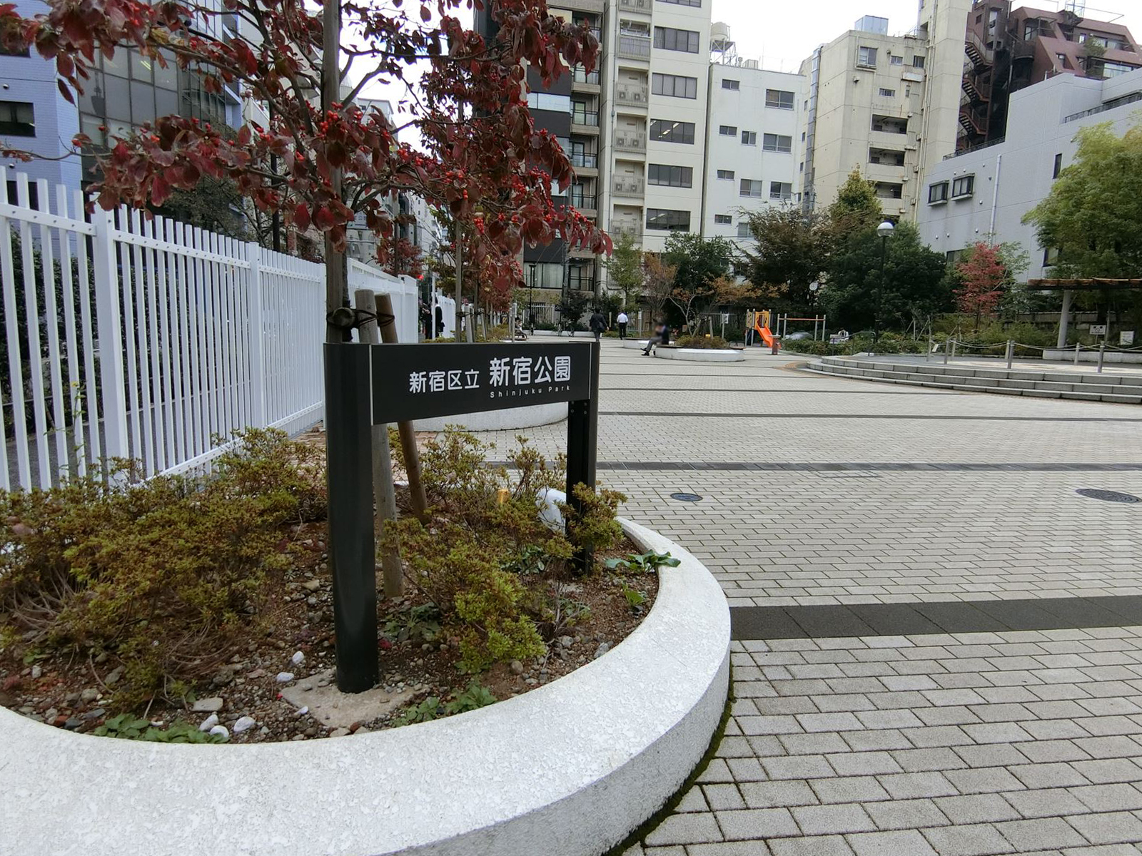 向かいにある区立新宿公園