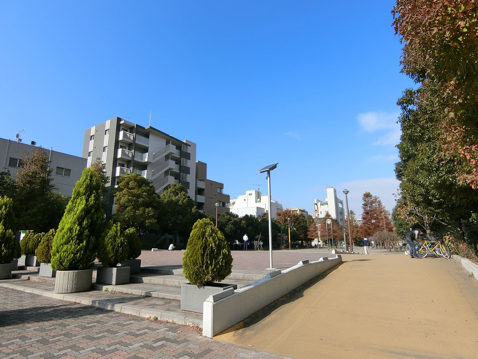 至近の大横川親水公園