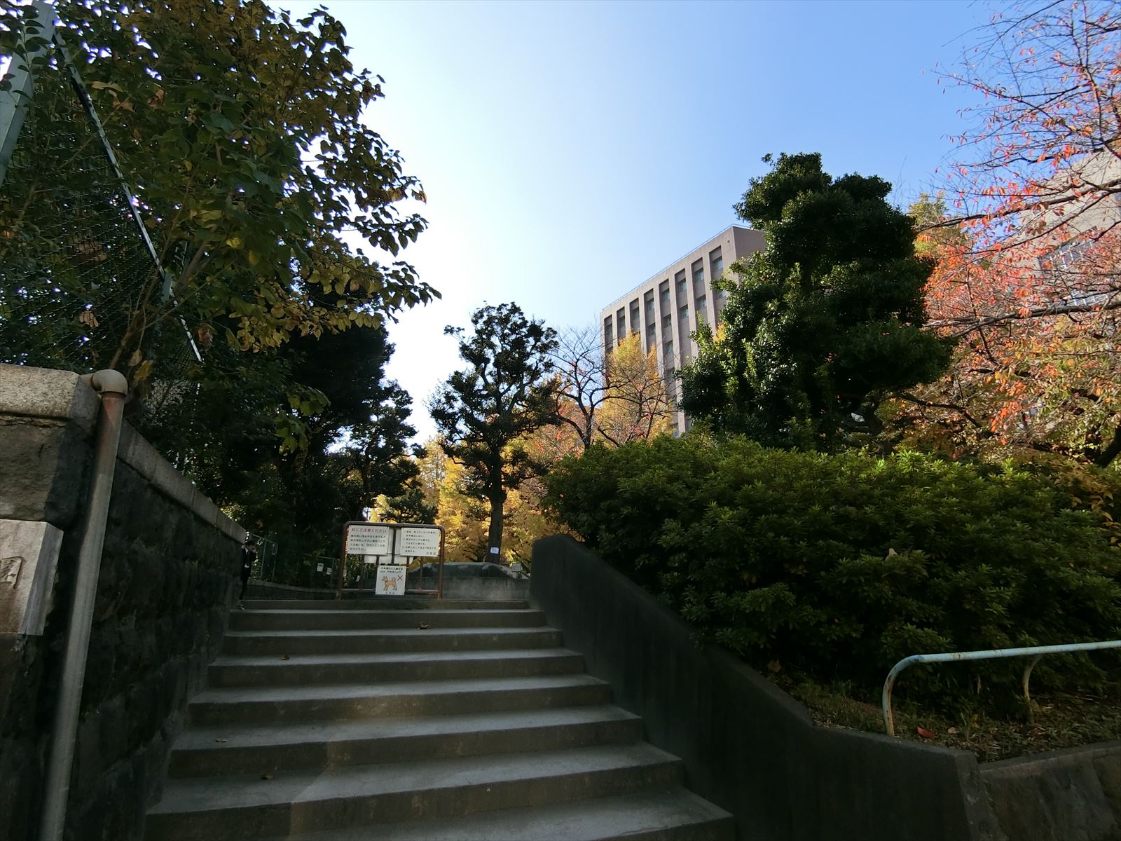 ちかくにある御茶ノ水公園