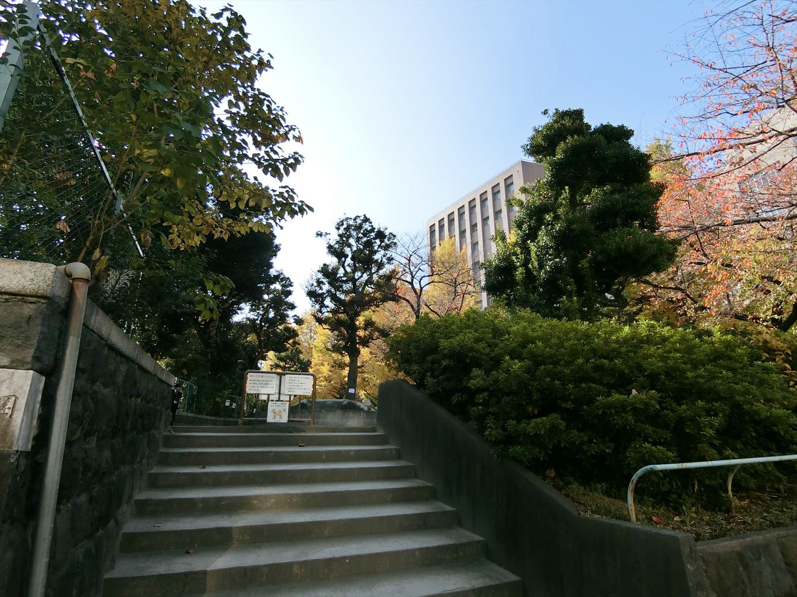 向かいの通りの御茶ノ水公園