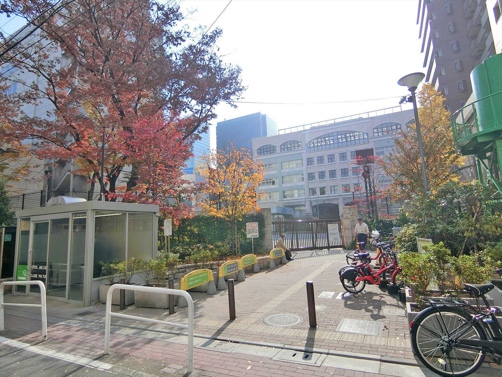 近くの芳林公園