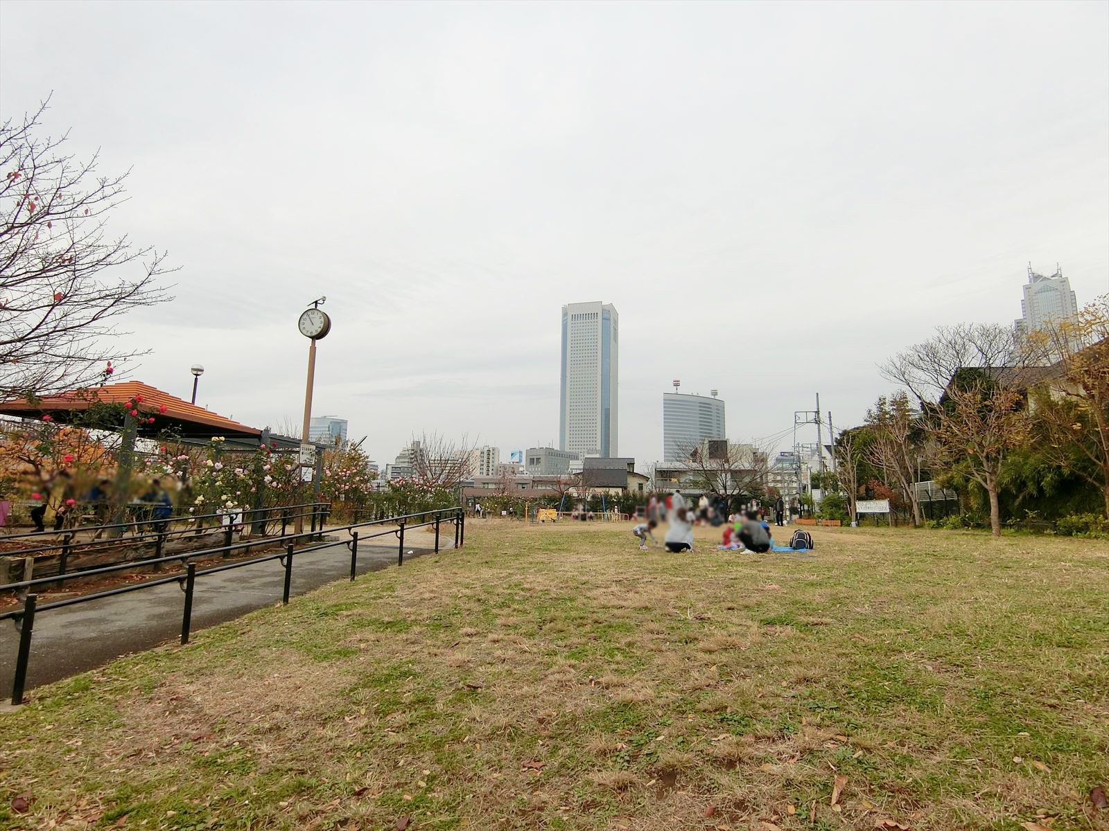 付近の参宮橋公園