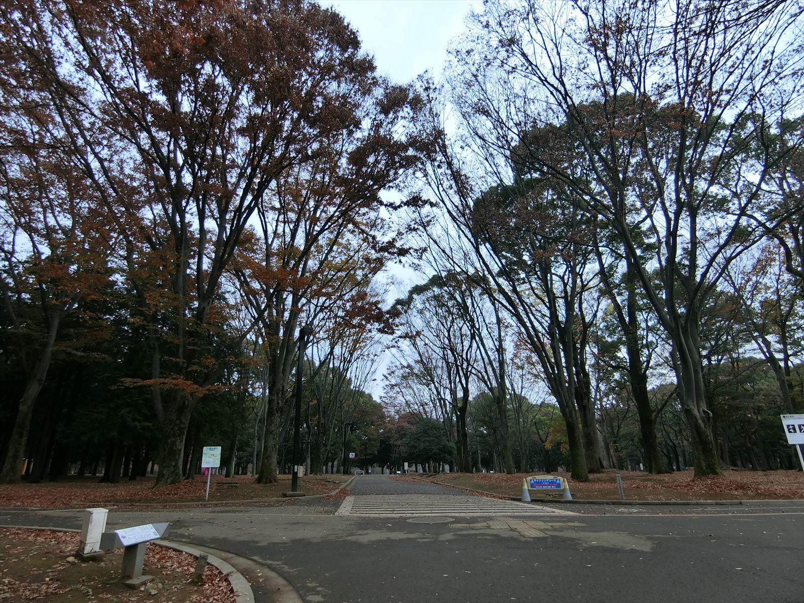 付近の代々木公園