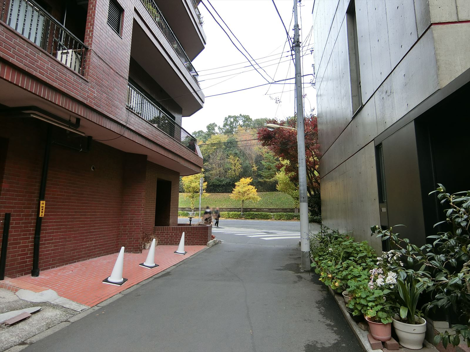 前面の通り
