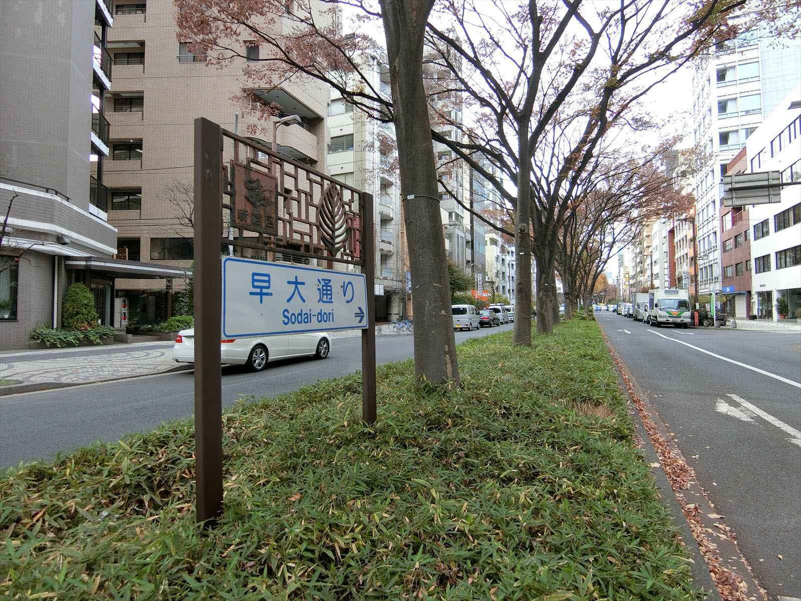 付近の早大通り