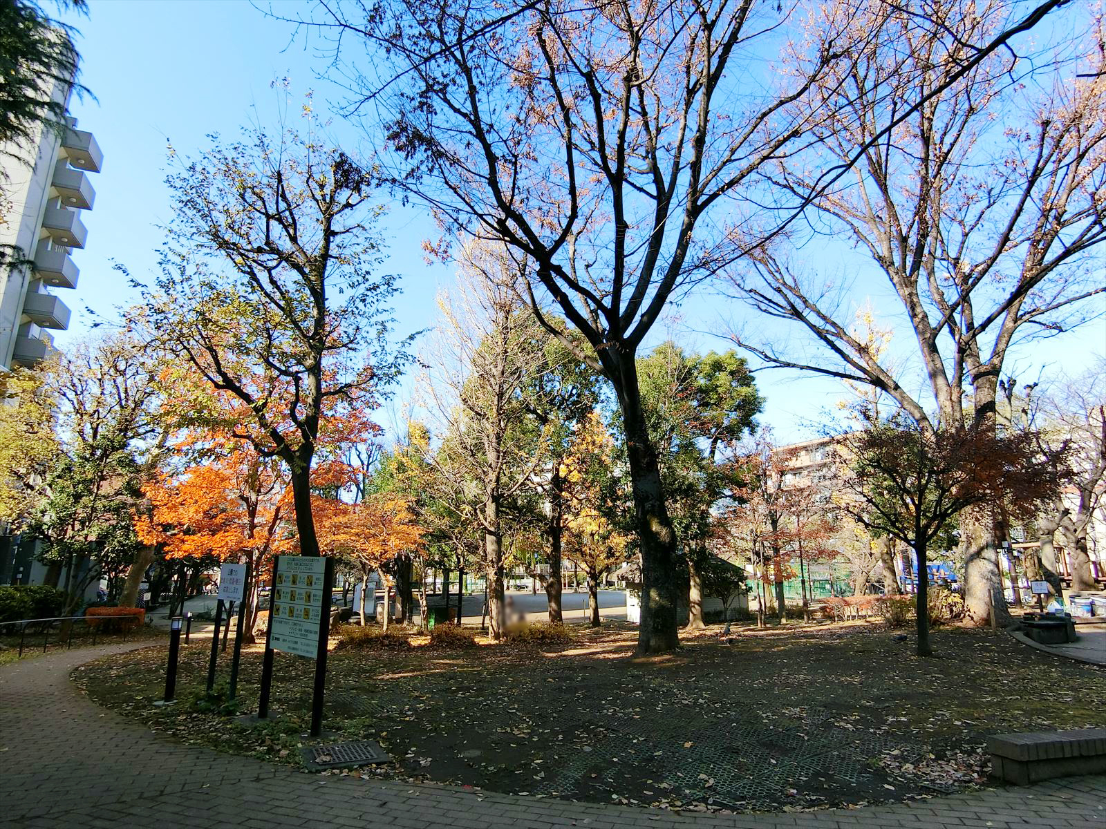 近くの北柏木公園