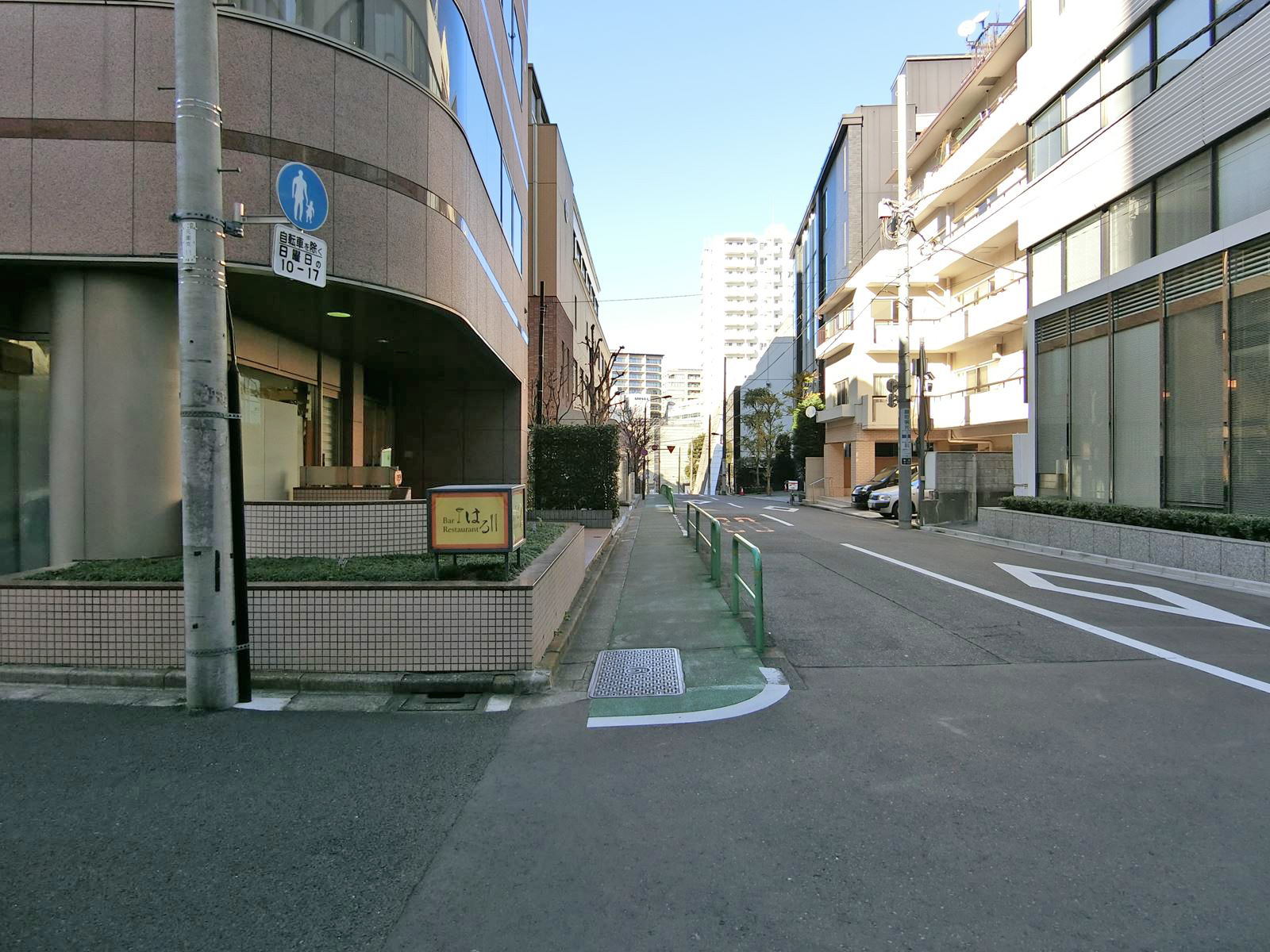 麹町フラッツ前面の通り