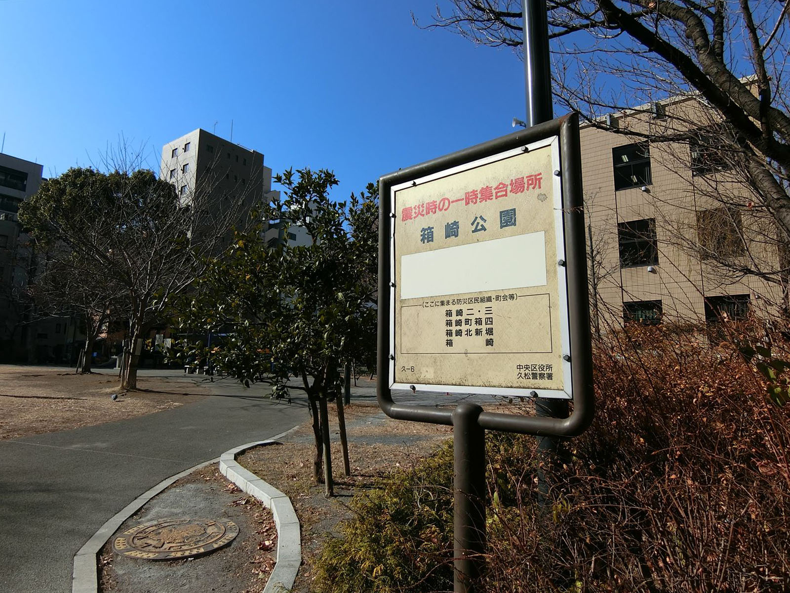 向かい側の箱崎公園