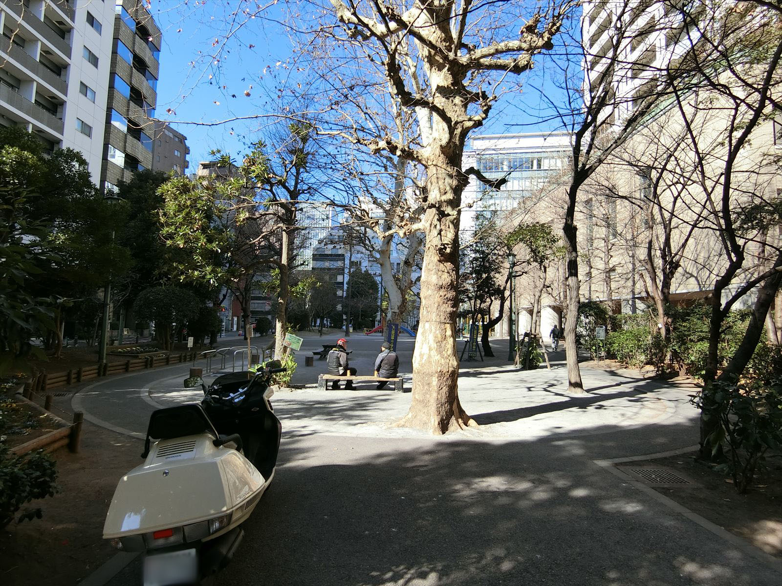 近隣の京橋公園