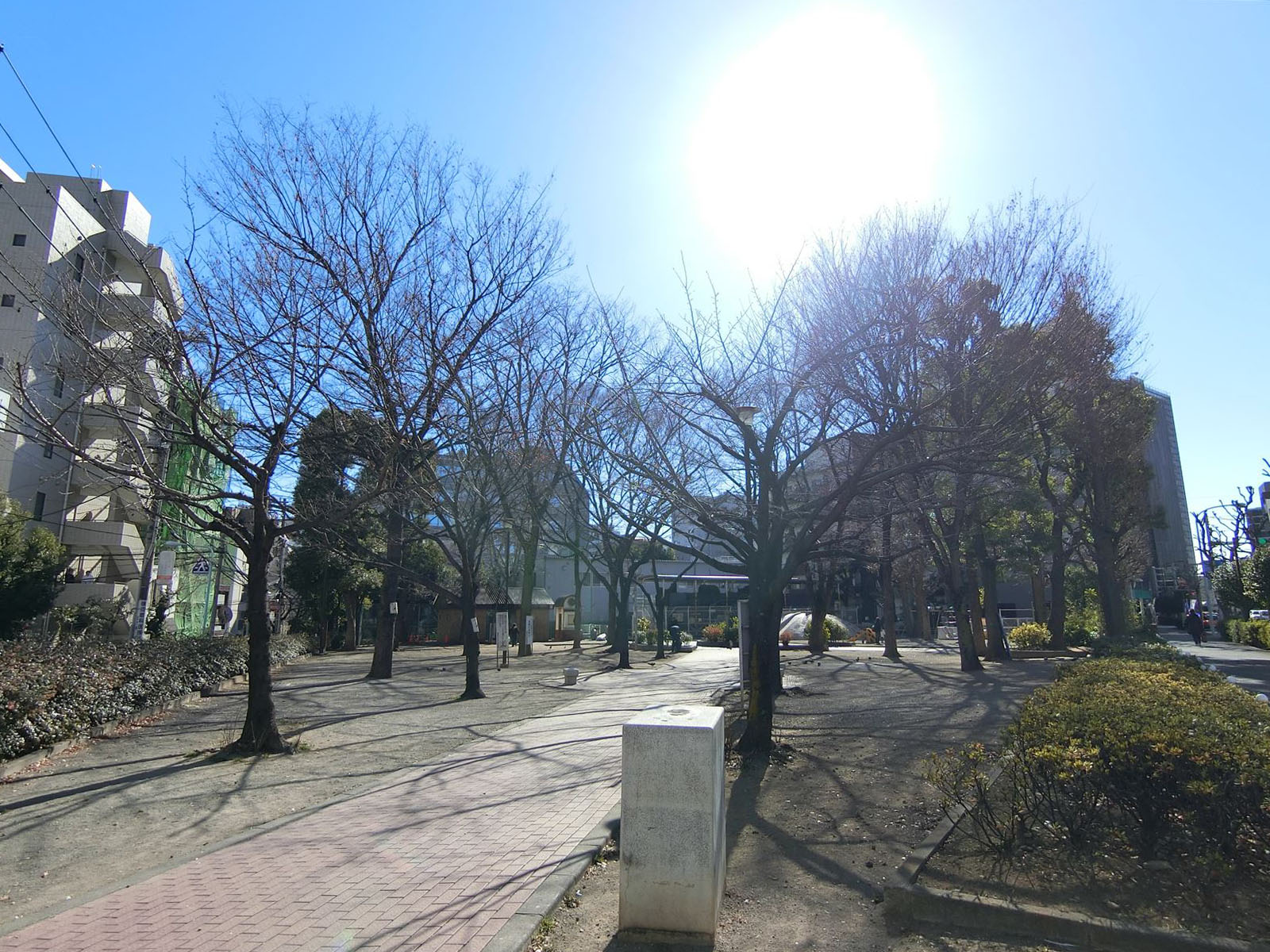 徒歩3分の大塚台公園