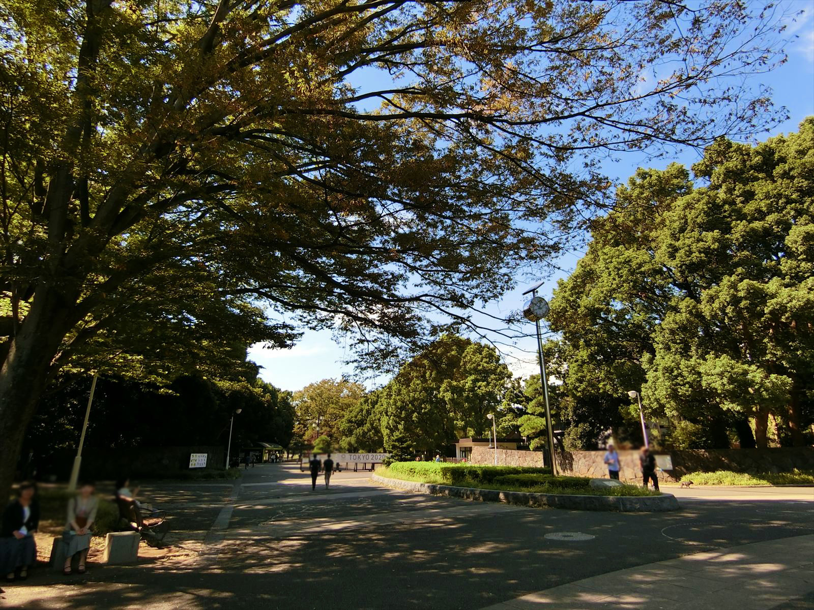 付近の代々木公園