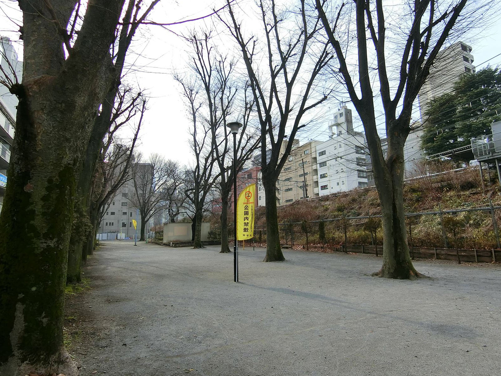 ビル前の神宮通公園