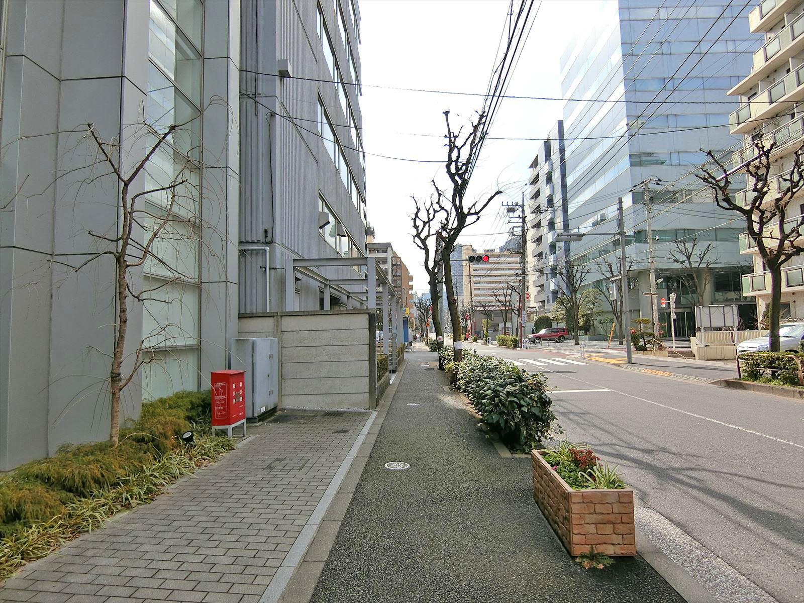 コーストライン品川ビル前面の通り