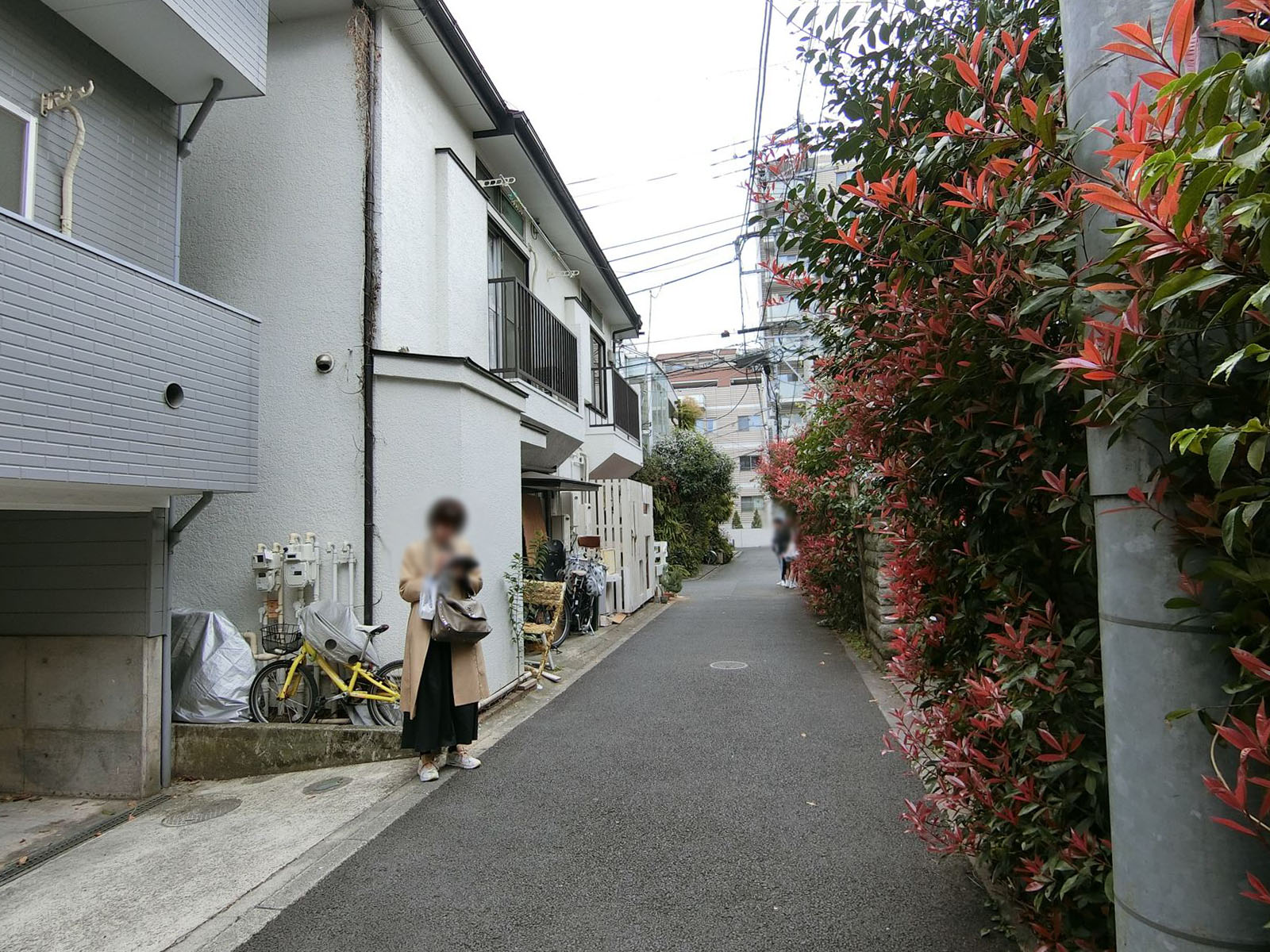 芝崎410ビル前面の通り