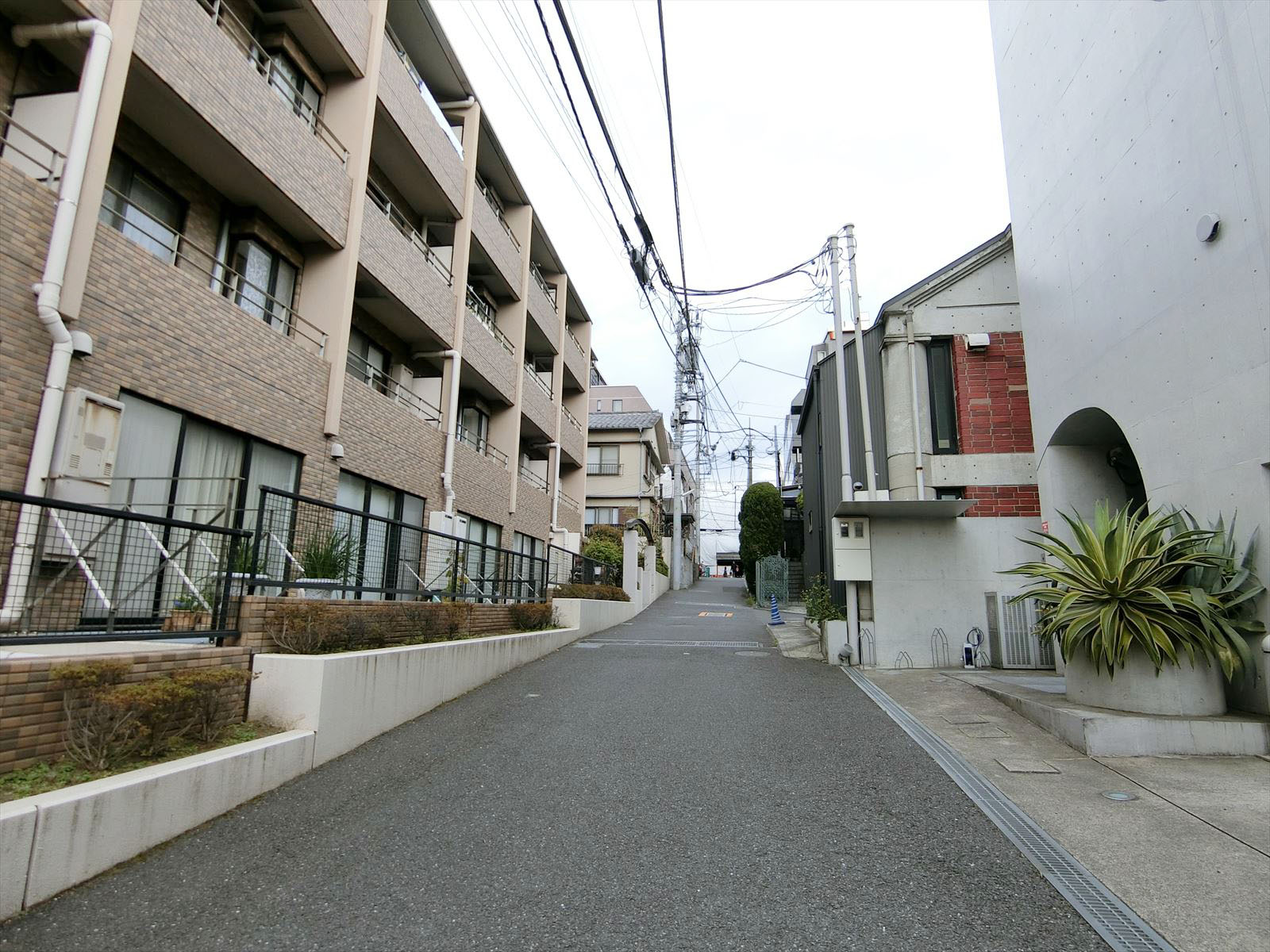 ローズビル前面の通り