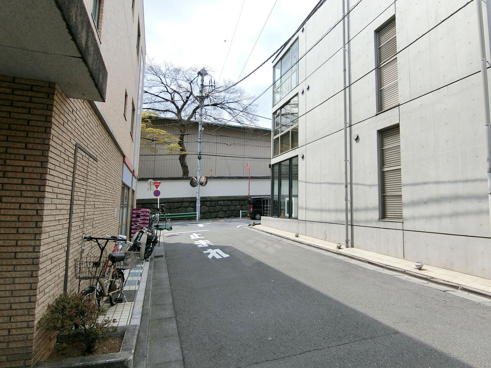 ミルーム南青山ビル前面の通り