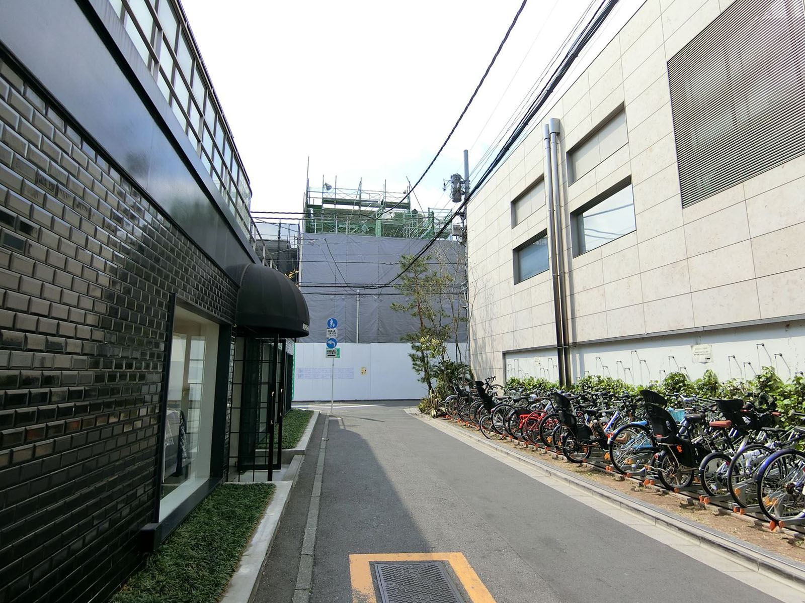 青山GreenHills前面の通り