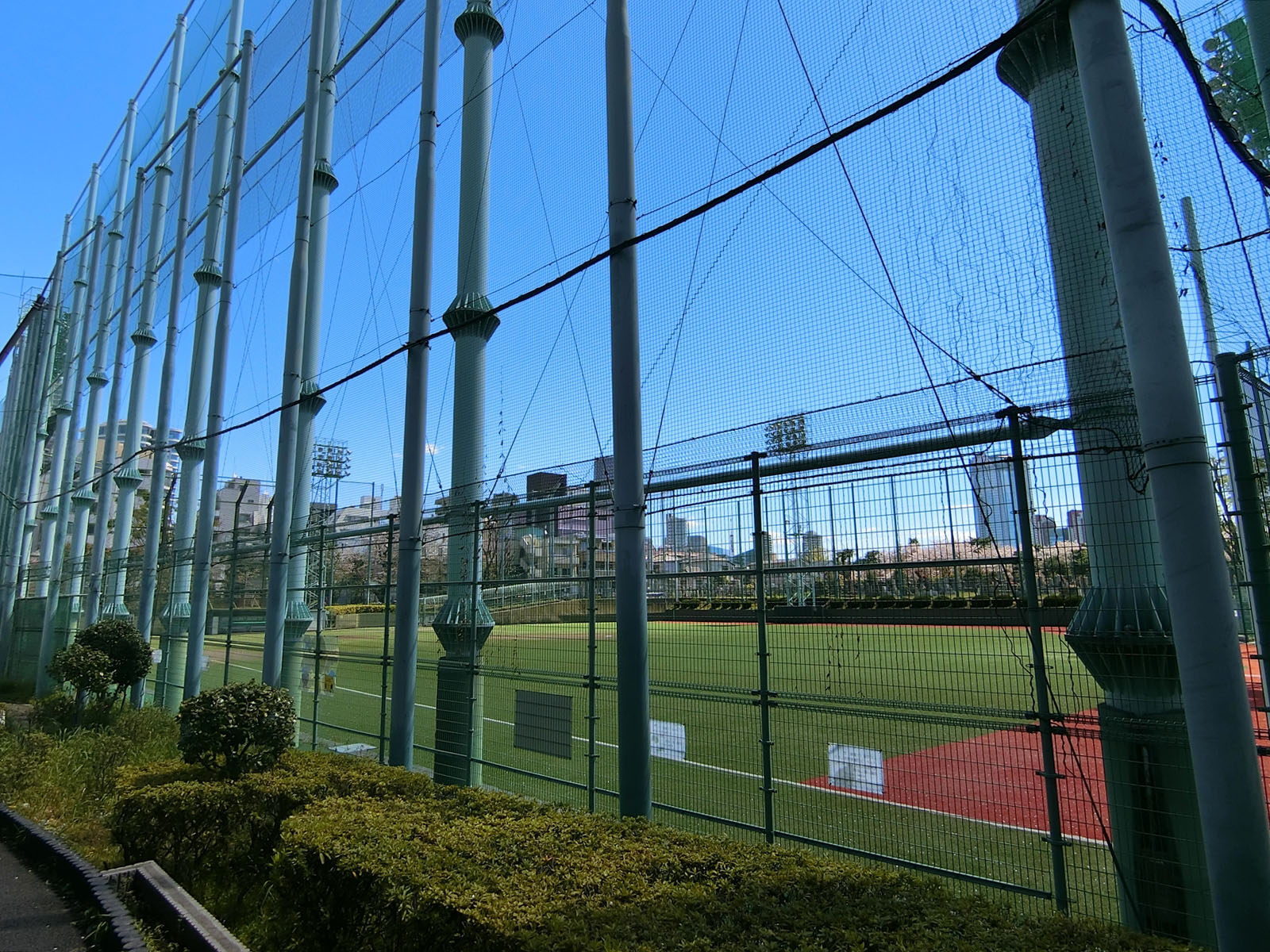 近くの青山公園