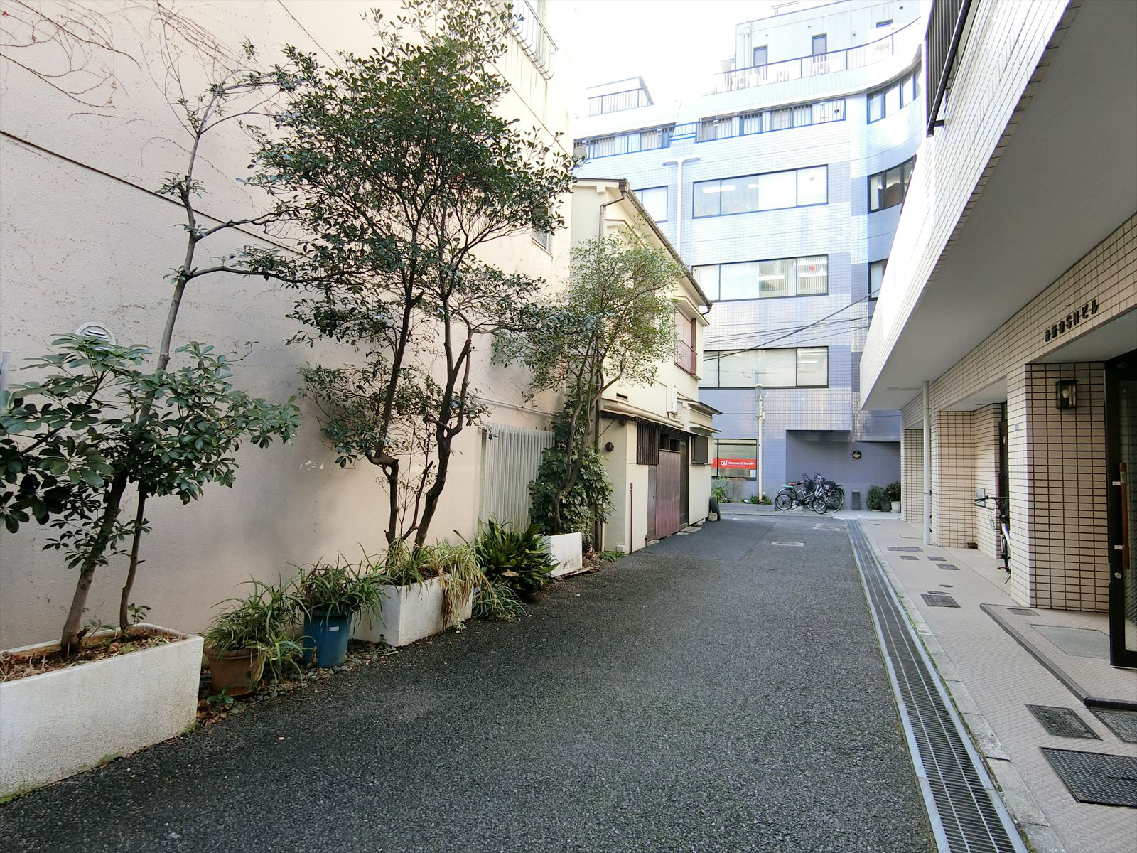 南新宿SNビル前面の通り