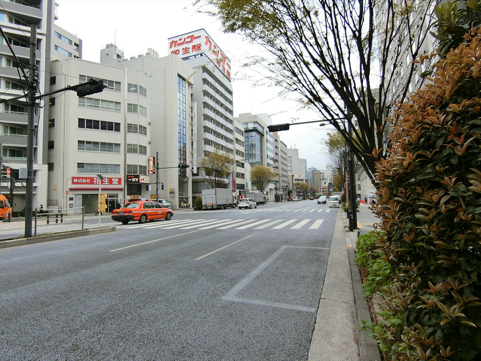 前面の清杉通り