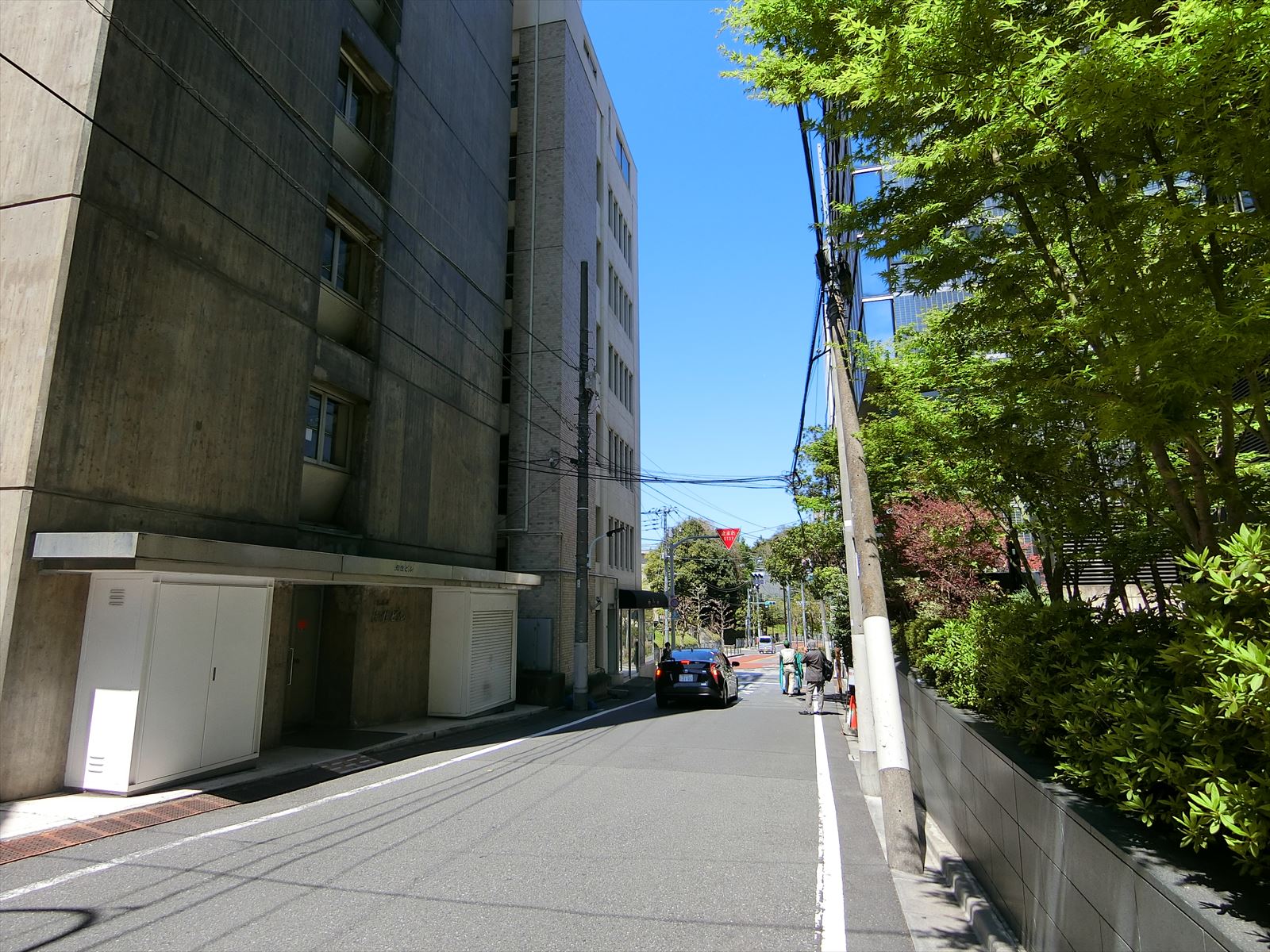 元赤坂知性ビル前面の通り