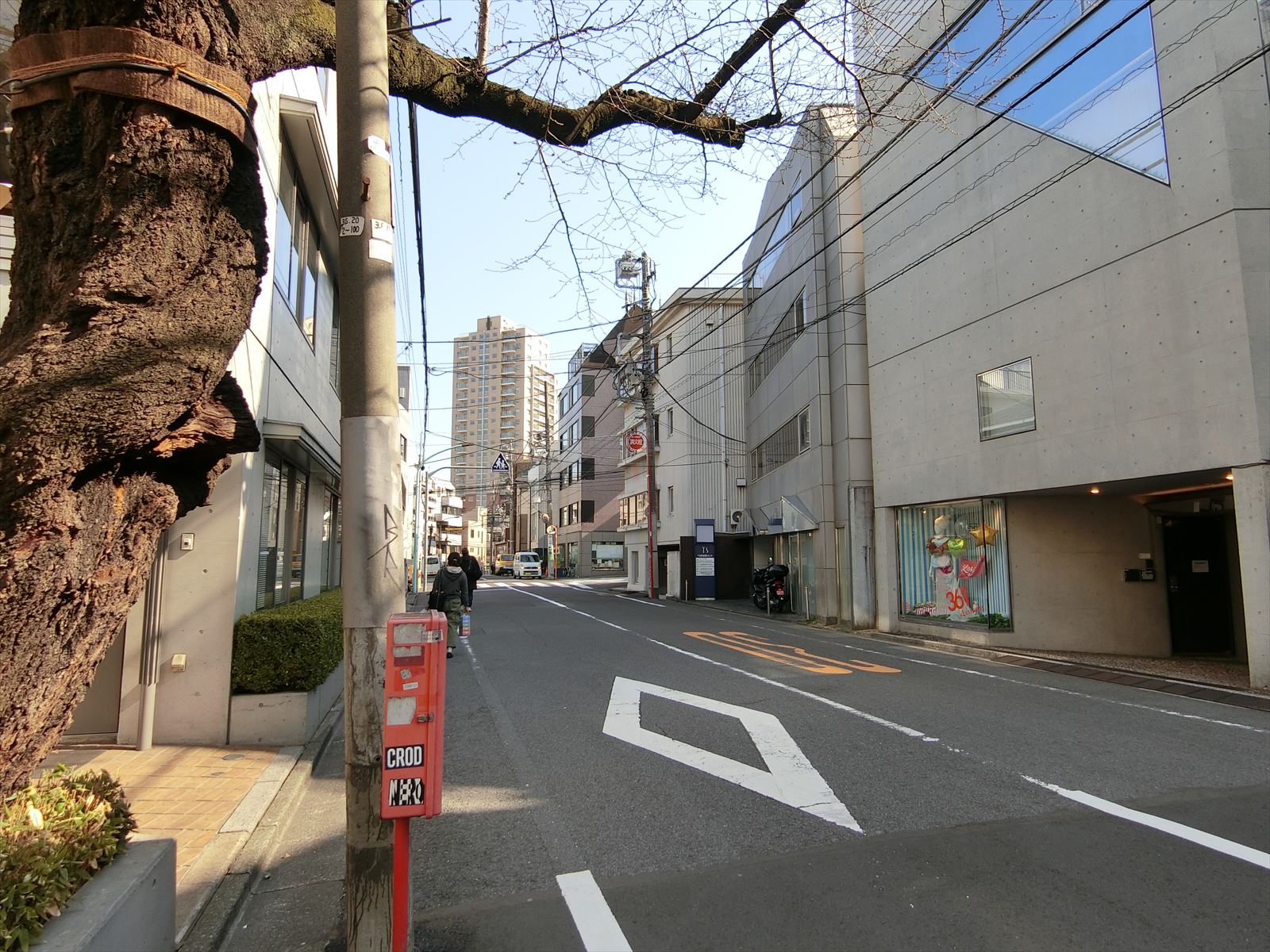 K'SBlossom前面の通り