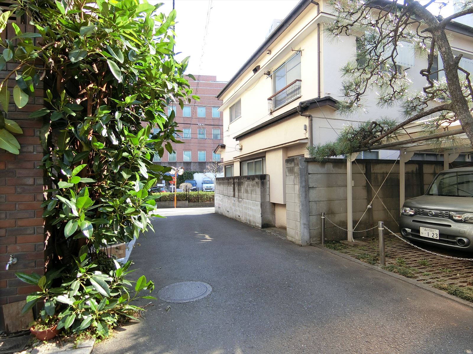 清豊閣ビル前面の通り
