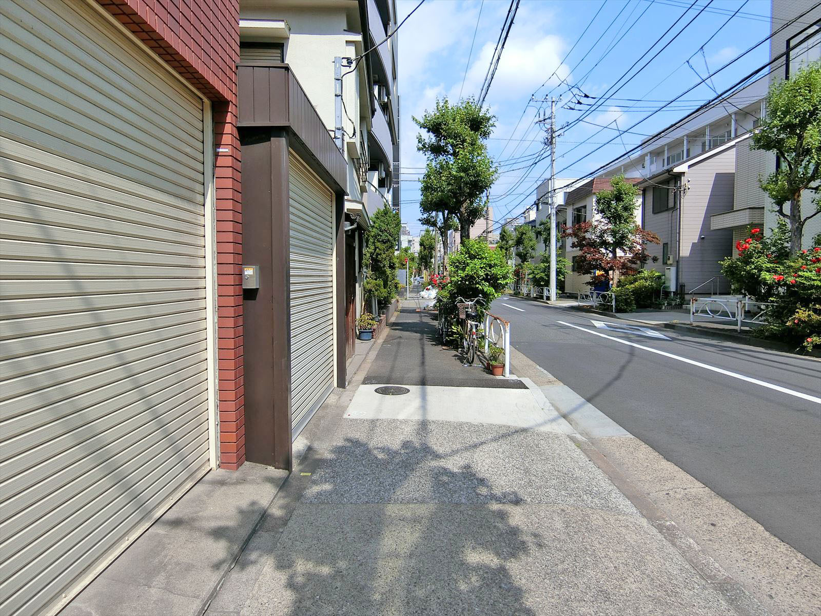 タナカビル前面の通り