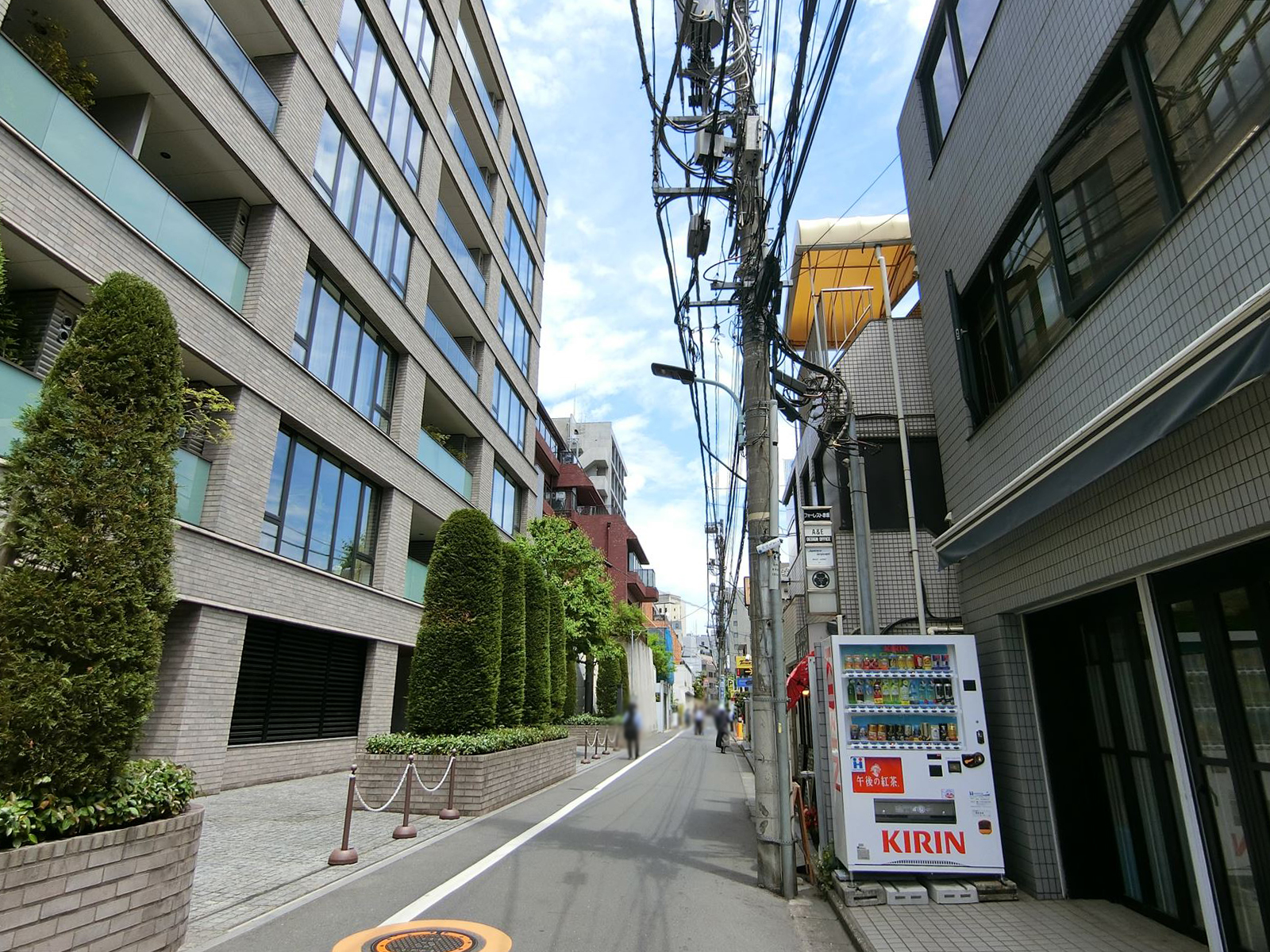 未来環境創造ビル前面の通り