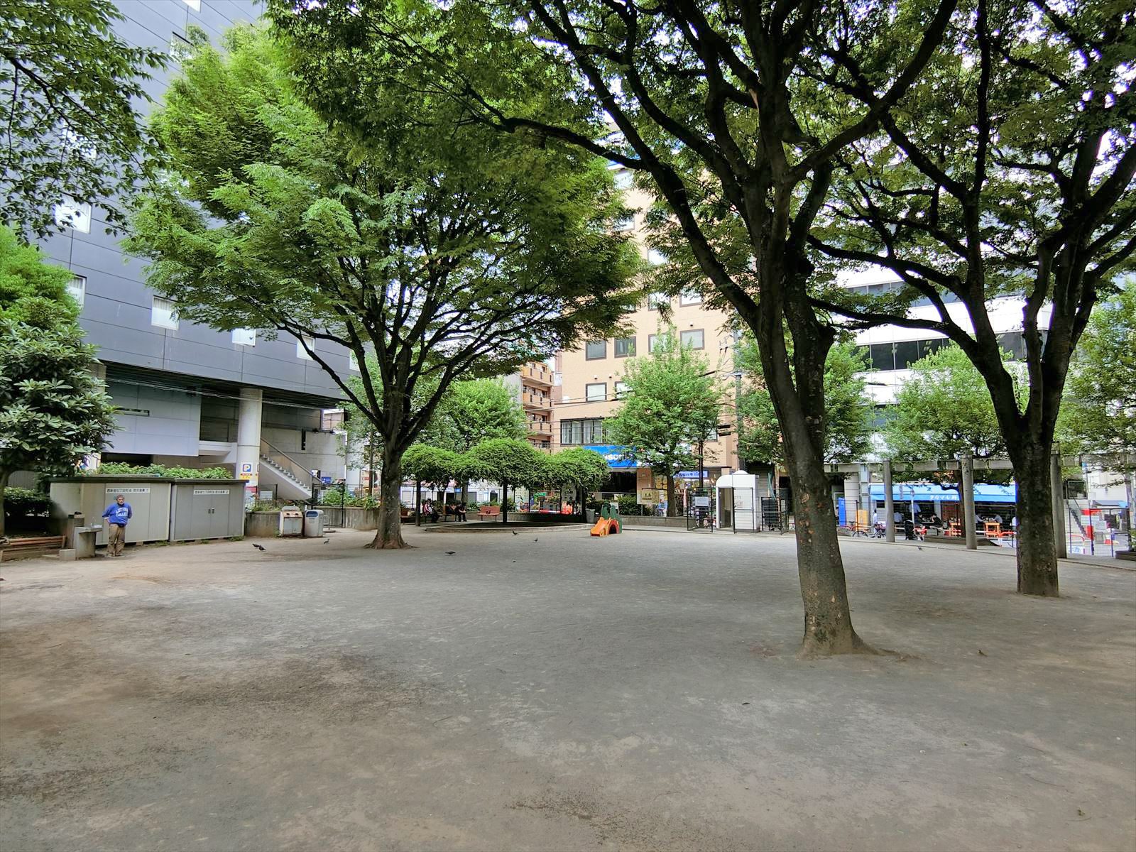 近くの柏木公園